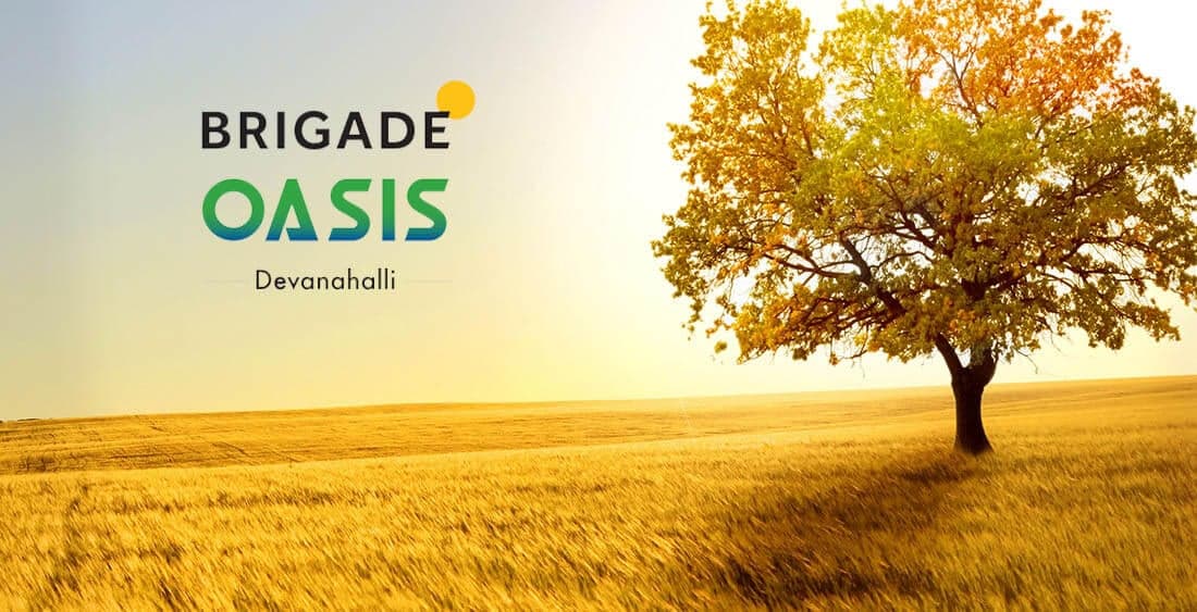 Brigade Oasis